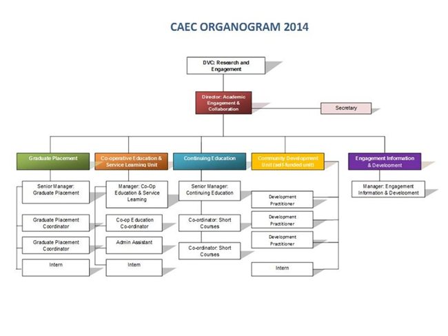 CAEC Organogram